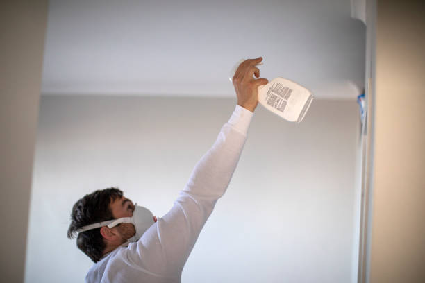 Best Affordable Mold Removal  in Flanders, NY