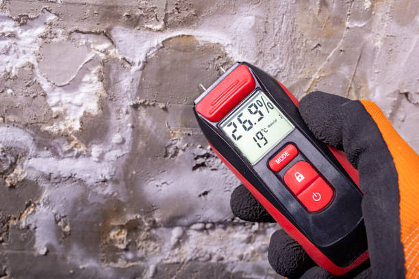 Best Residential Mold Removal  in Flanders, NY
